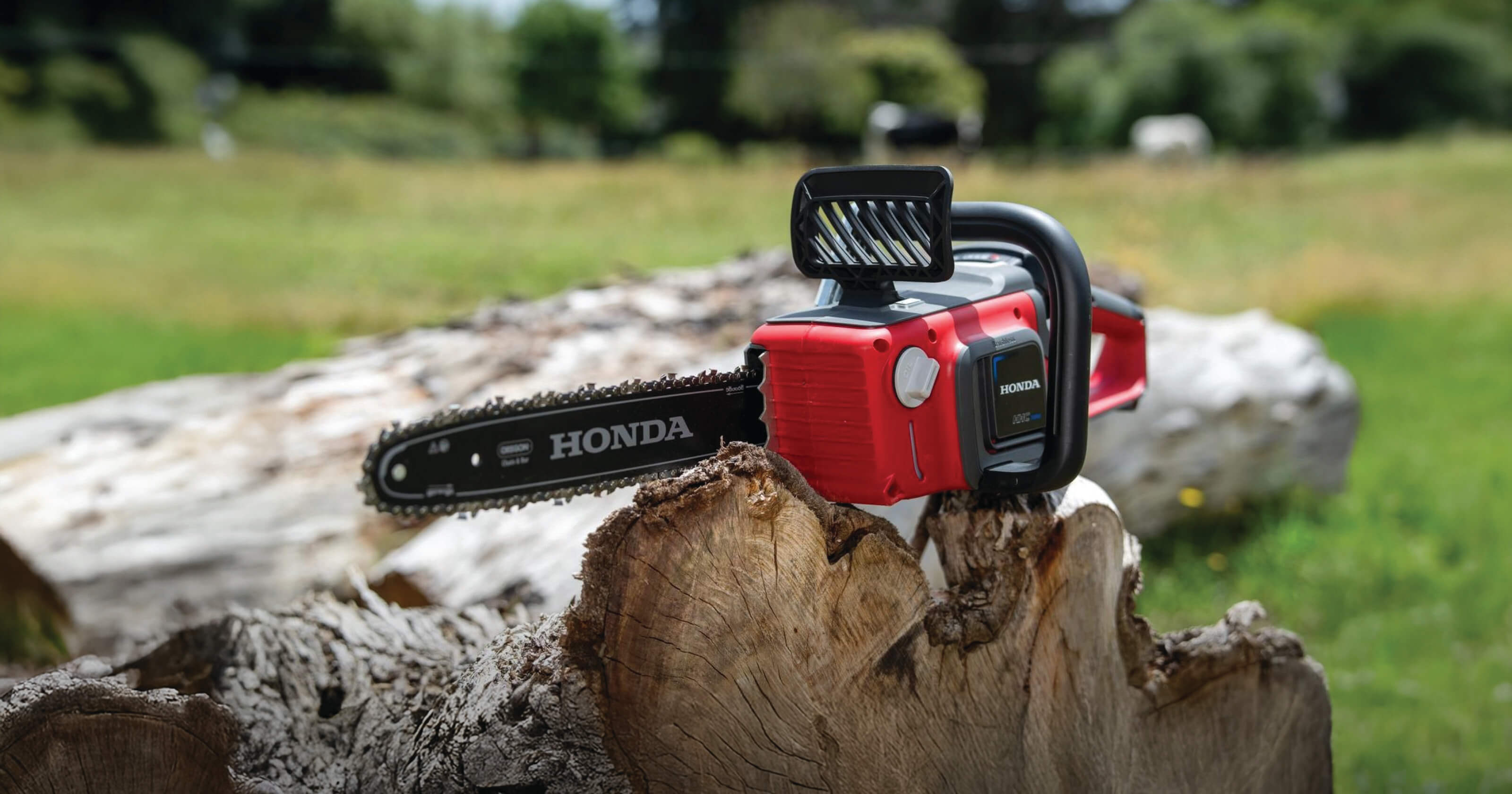 Chainsaws Chainsaws